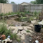 Before the Makeover: The Shocking State of a Neglected Backyard Pool