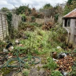 From Neglected Mess to Stunning Outdoor Oasis: See the Before & Afters!