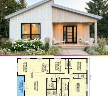 Modern 2 3 Bedroom House Plan with Flexible Layout